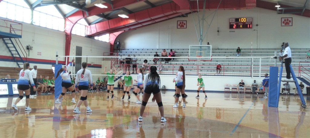 Scott County Volleyball Tournament Finals- Forest vs. Lake