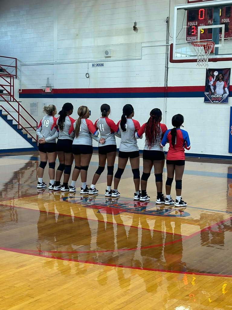 Volleyball District Play